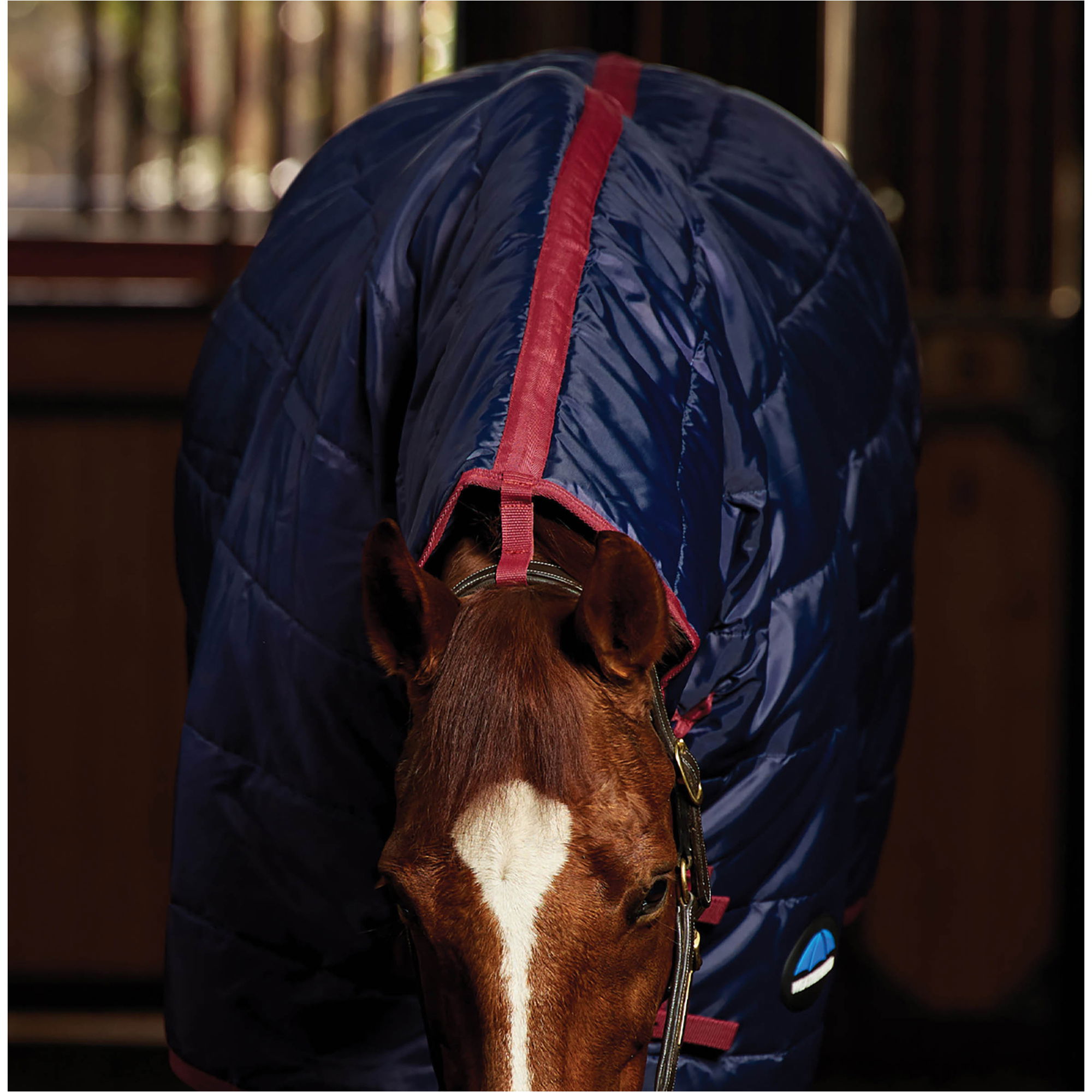 2026 WeatherBeeta Couverture D'écurie Combo 1031483 - Navy / Burgundy